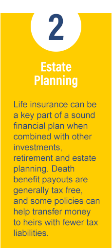 5Steps_Mobile_Yellow_092624