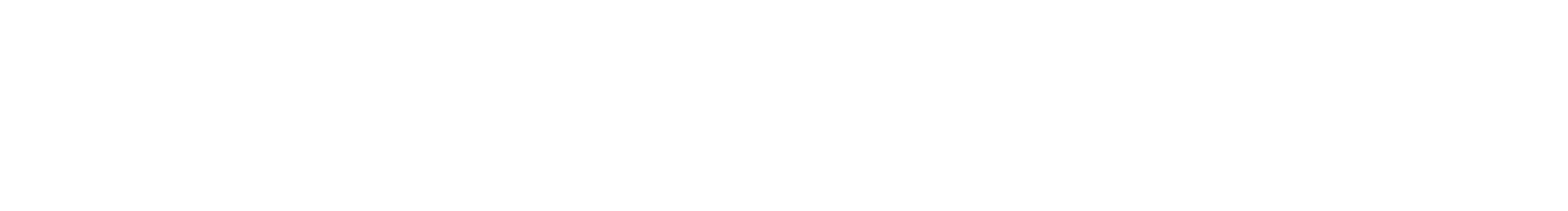 light logo